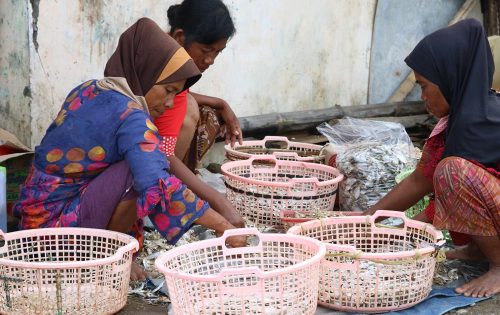 Foto nelayan wanita 1 Sorting fish